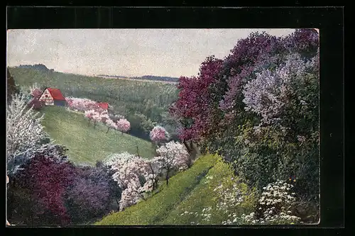 Künstler-AK Photochromie Nr. 4289: Landschaft mit Fliederbäumen