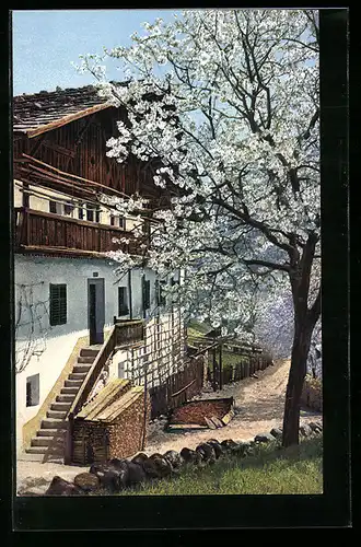 Künstler-AK Photochromie Nr. 2707: Tiroler Bauernhaus mit Obstbaum