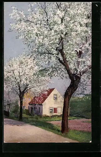 Künstler-AK Photochromie Nr. 4102: Landschaft mit Häusern bei Baumblüte