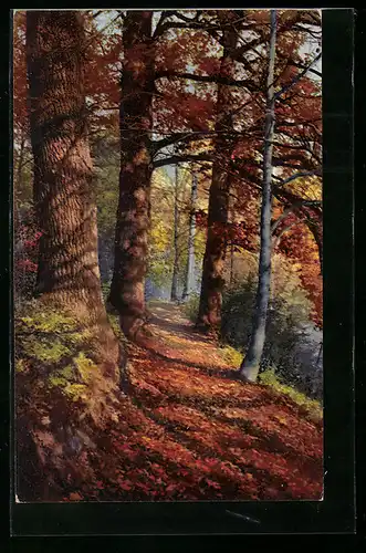 Künstler-AK Photochromie Nr. 4005: Waldpartie im Herbst