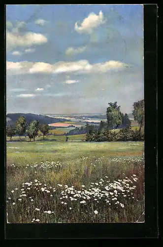 Künstler-AK Photochromie Nr. 2815: Landschaft mit Blumenwiese