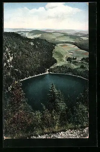 Künstler-AK Photochromie Nr. 1: Feldsee im Schwarzwald