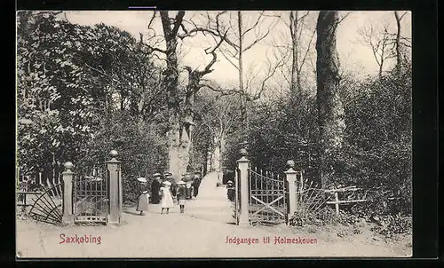 AK Saxkobing, Indgangen til Holmeskoven