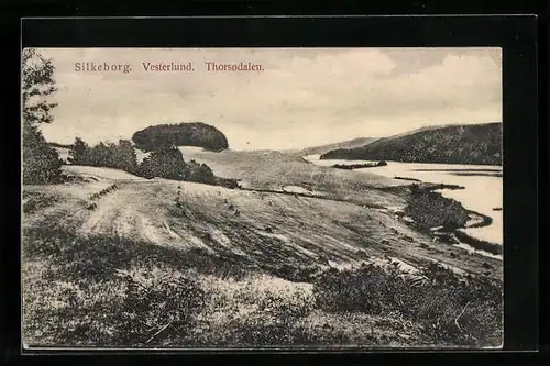 AK Silkeborg, Vesterlund, Thorsodalen