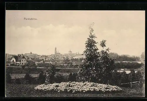 AK Pardubice, Panorama