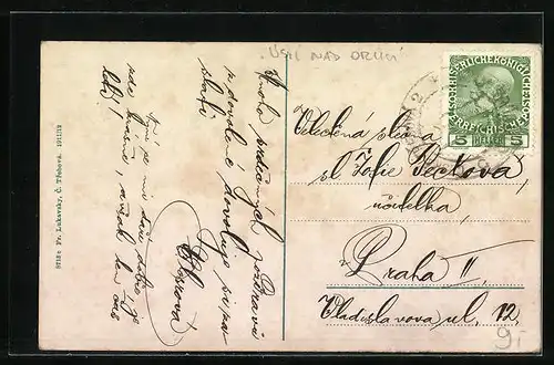 AK Ceská Trebová, Celkový pohled, Partie na Trebovce, Mestske ricní lázne