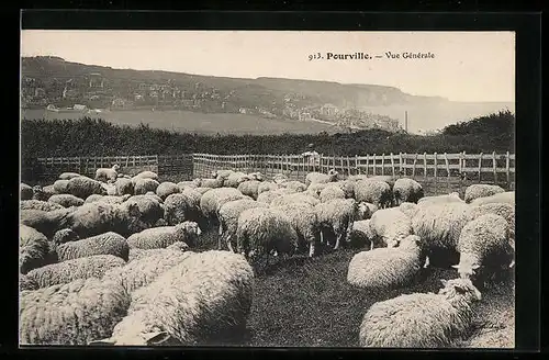 AK Pourville, vue generale