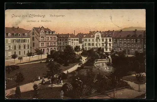 AK Offenburg, Volksgarten u. Gasthaus z. Waldhorn