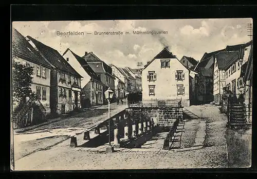 AK Beerfelden, Brunnenstrasse mit Mümmlingquellen