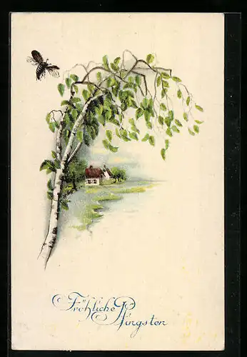 AK Fliegender Maikäfer, Birke und Landschaft, Pfingstgruss