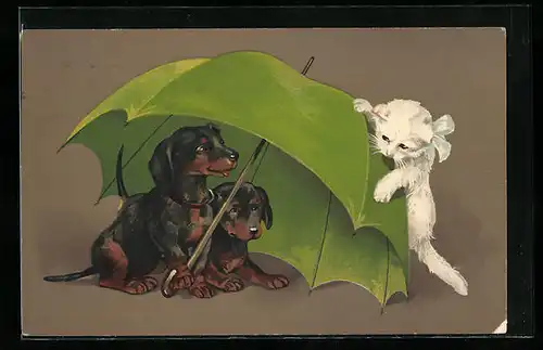 AK Zwei Dackel unter einem Schirm mit kletterndem Kätzchen