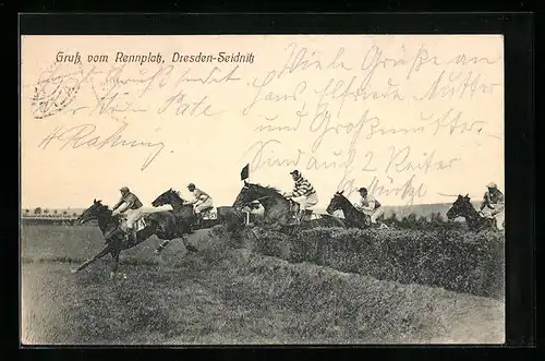 AK Dresden-Seidnitz, Springreiter auf dem Rennplatz
