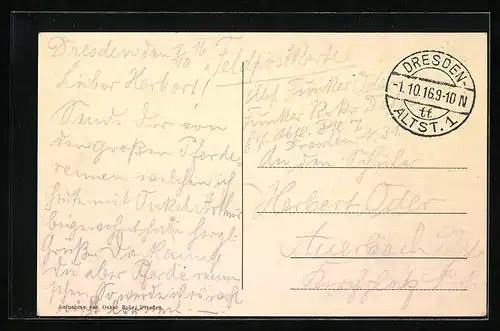 AK Dresden-Seidnitz, Springreiter auf dem Rennplatz