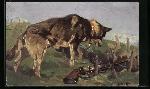 AK Sanitätshund beim Entdecken eines Verwundeten in einer Wolfsgrube
