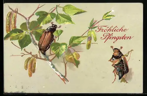 AK Maikäfer auf einem Birkenzweig, Maikäfer spielt auf der Laute