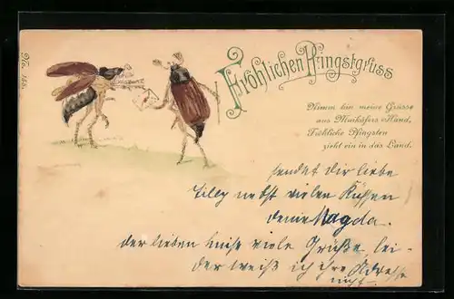 AK Zwei Maikäfer und ein Brief, Pfingstgruss