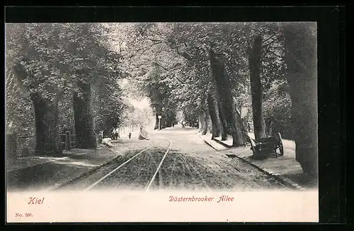 AK Kiel, Düsternbrooker Allee