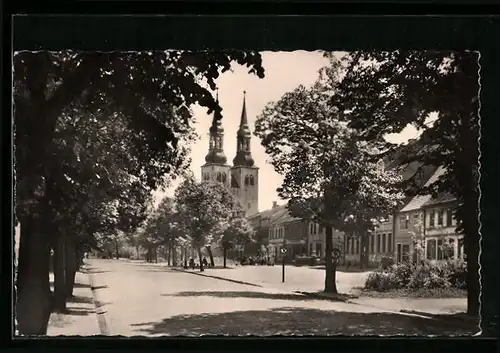 AK Schönebeck /Elbe, Strasse der Thälmann-Pioniere
