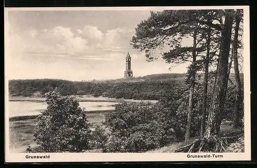 AK Berlin-Grunewald, Grunewald-Turm, aus der Ferne gesehen