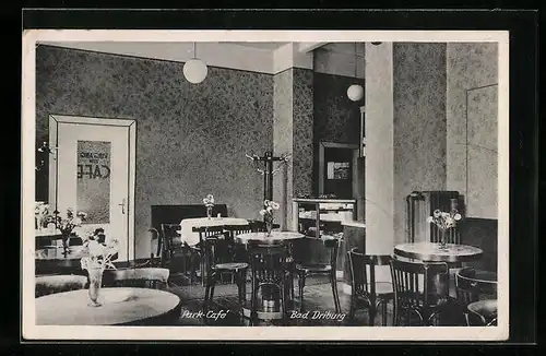 AK Bad Driburg, Park-Café, Inh.: Fritz Drouvé