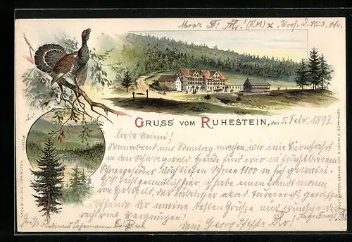 Lithographie Ruhestein /Schwarzwald, Gruss mit dem Wildsee