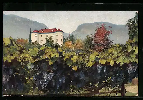 Photochromie-AK Ueberetsch, Blick von einem Weinberg auf Schloss Gandegg