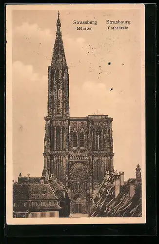 AK Strassburg, Blick auf d. Kathedrale Münster