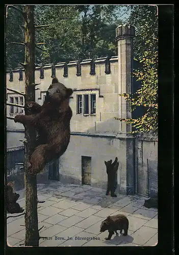 AK Bern, Im Bärengraben