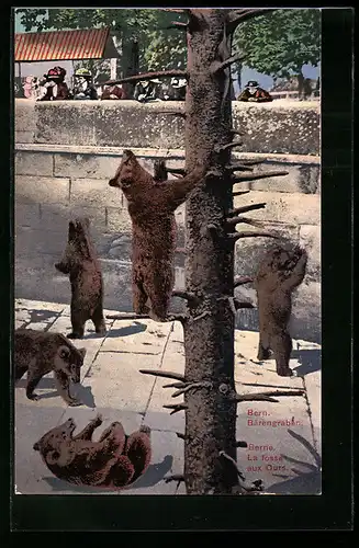 AK Bern, im Bärengraben