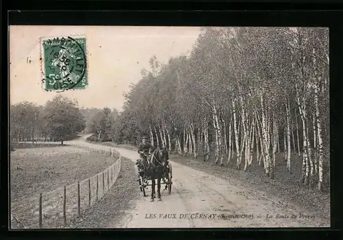 AK Les Vaux de Cernay, La Route du Perray