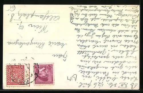 AK Pardubice, Wilsonova Tr.