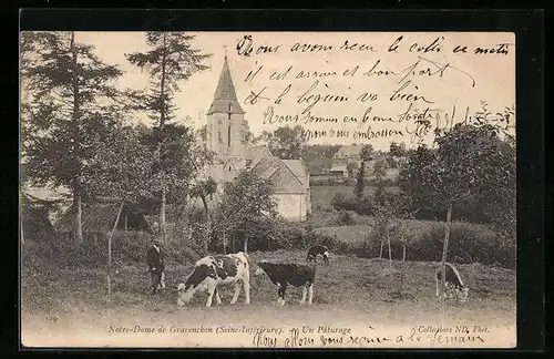 AK Notre-Dame-de-Gravenchon, Un Pâturage