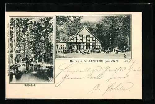 AK Eckernworth /Waldsrode, Bohlenbach und Gasthaus