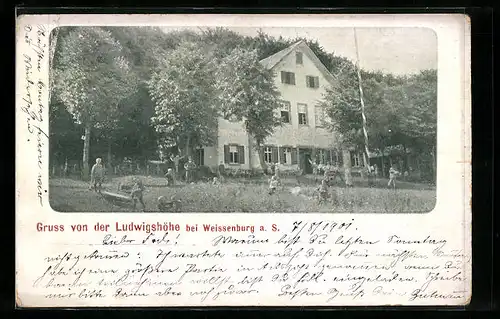 AK Weissenburg a. S., Blick auf die Ludwigshöhe