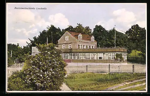 AK Dresden-Loschwitz, Gasthaus Beerenweinschänke