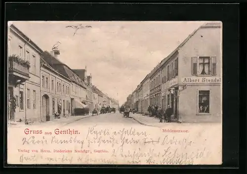 AK Genthin, Mühlenstrasse mit Geschäft von Albert Stendel