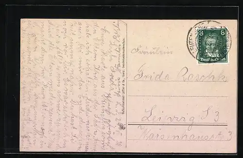 AK Bad Leutenberg i. Thür., Neustadt-Allee mit Fachwerkhaus