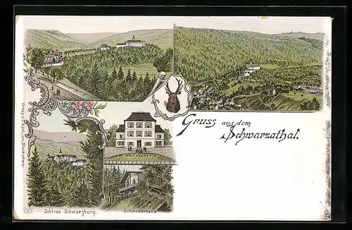 Lithographie Schwarzathal, Fasanerie, Schweizerhaus, Schloss Schwarzburg, Ortsansicht aus der Vogelschau