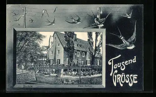AK Bochum, Haus Rechen, Schwalben