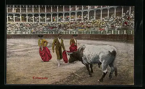 AK Estocada, Toreros beim Stierkampf in der Arena
