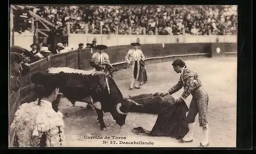 AK Corrida de Toros, Descabellando, Torero beim Stierkampf