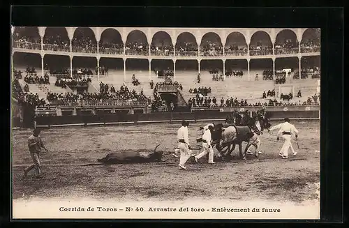 AK Corrida de Toros, Arrastre del toro, Enlèvement du fauve, Stierkampf