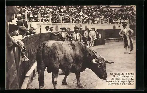 AK Corrida de Toros, Despuès de una estocada, Stierkampf