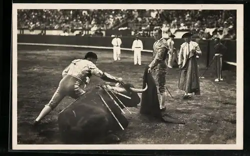 AK Le Stylet, Toreros mit verwundetem Stier in der Arena