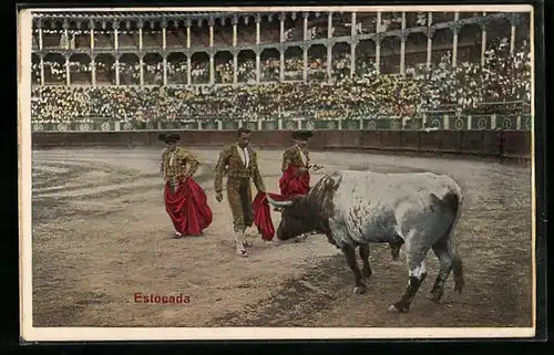 AK Estocada, Toreros beim Stierkampf in der Arena
