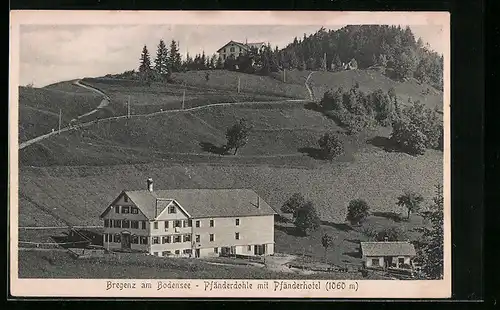 AK Bregenz am Bodensee, Pfänderdohle mit Pfänderhotel