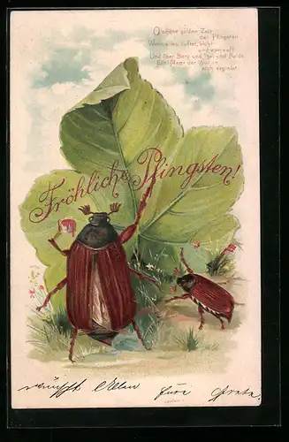 AK Maikäfer mit Ahornblatt, Pfingstgruss