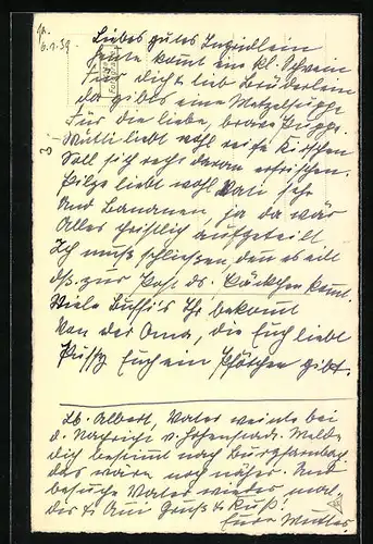 AK Zwei Frechdachse, Katzenwelpen