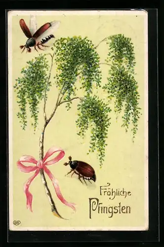 AK Zwei Maikäfer und Birkenzweig mit rosa Schleife, Pfingstgruss