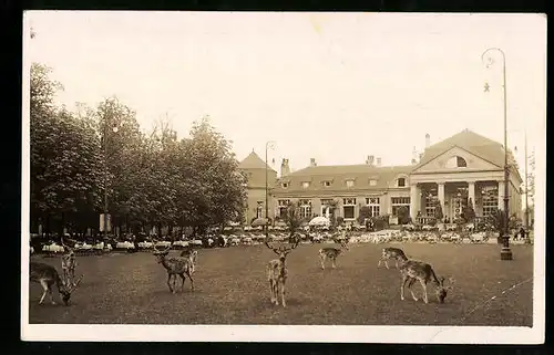 AK Hannover-Kirchrode, Wirtschaftsbetrieb Tiergarten